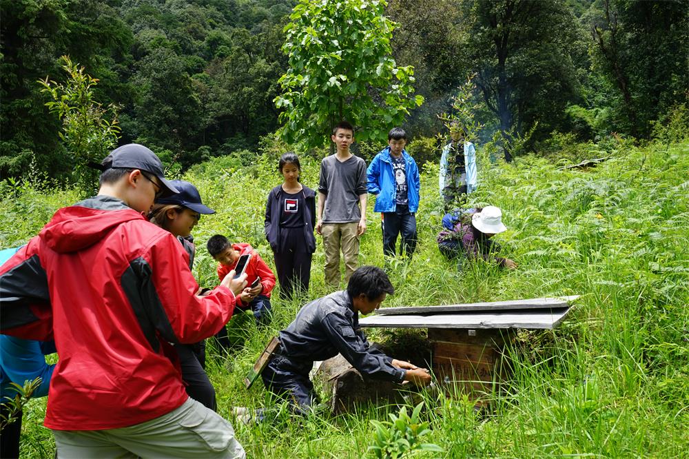 白马雪山科考夏令营